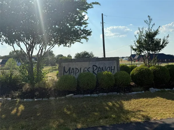 123 Rene Ln, Gunter, TX 75058