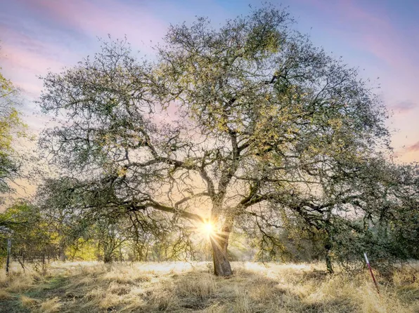Penny Way, Browns Valley, CA 95918