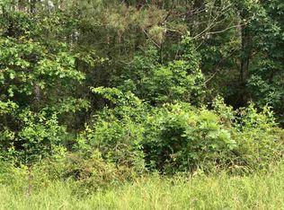 2 Highway 35 N, Forest, MS 39074