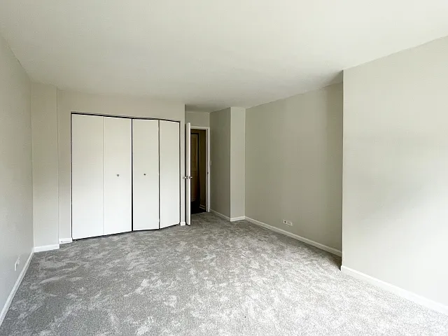 222 E Pearson St #1206 — Photo 8