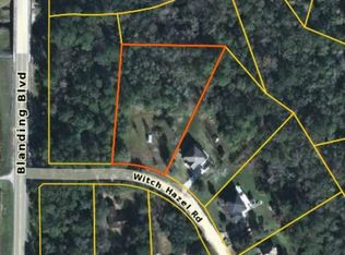 2849 Witch Hazel Rd, Middleburg, FL 32068