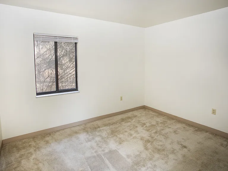 Forest Apartments — Photo 9