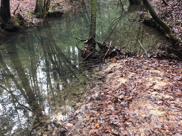 Wolf Haven Rd, Spencer, TN 38585