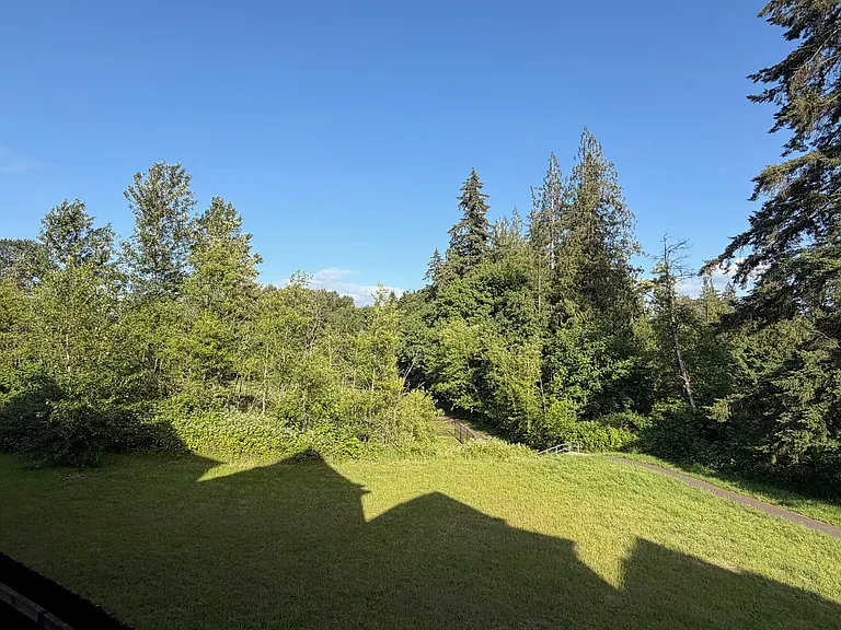 Backyard view 1
