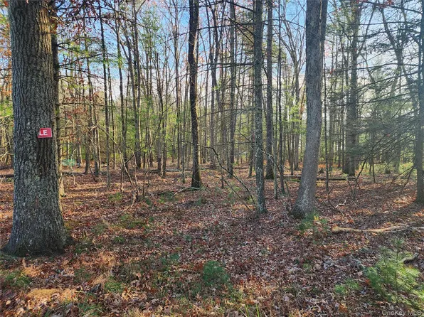 0 Taras Schevchenko Road, Glen Spey, NY 12737