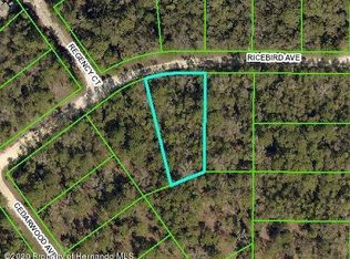 14126 Ricebird Ave, Weeki Wachee, FL 34614