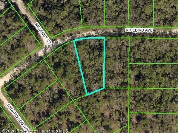 14126 Ricebird Ave, Weeki Wachee, FL 34614