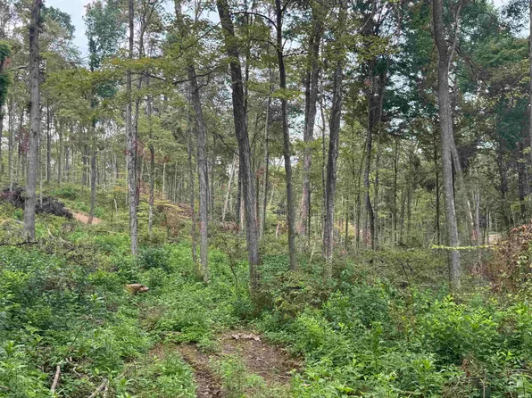 Off W County Rd #325, West Baden Springs, IN 47469