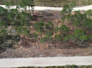 2101 Albert Gibson Rd, Hortense, GA 31543