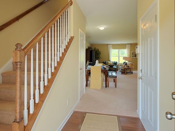 Welcome to the Murray