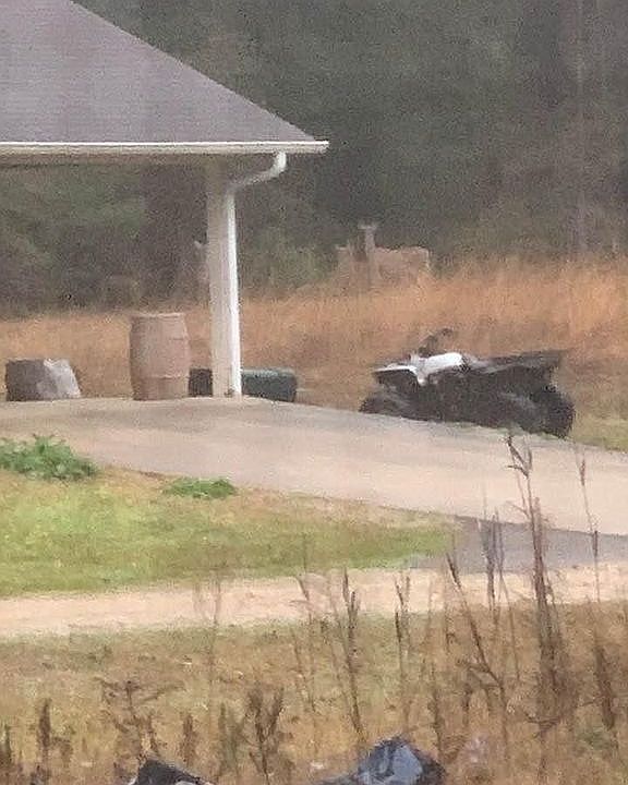2nd image of 101 Daniels Rd