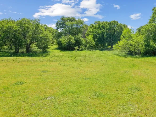 14220 Howard Lake Ct, Lipan, TX 76462