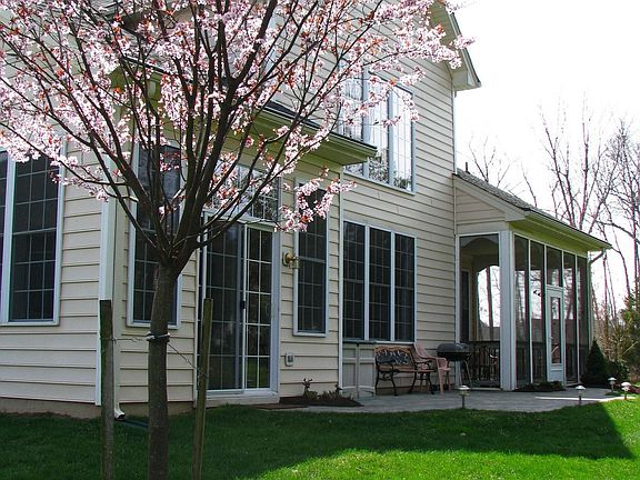 Beautiful back yard