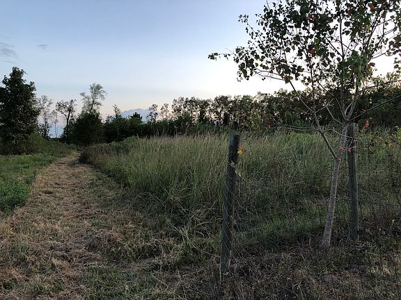 trail down property line