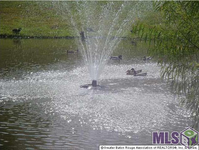 2nd image of 3233 Nicholson Lake Dr