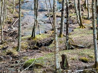 ES-61 Rippling Waters Trail, Banner Elk, NC 28604