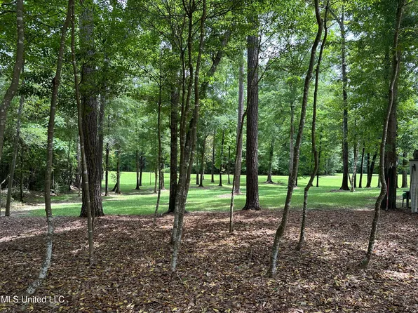 2627 Fords Creek Rd, Poplarville, MS 39470