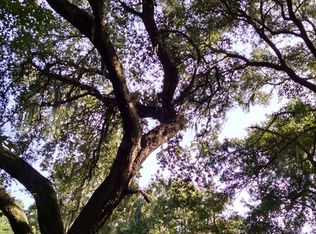 211 Salt Creek Rd, Savannah, GA 31405