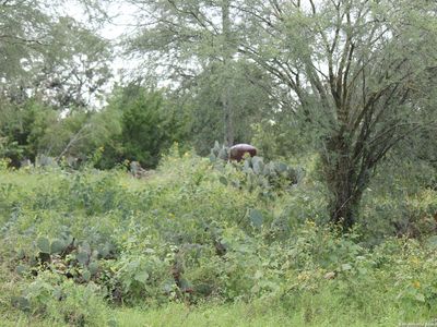 TBD CR 2723 COUNTY ROAD 2723 LOT 16, Mico, TX, 78056