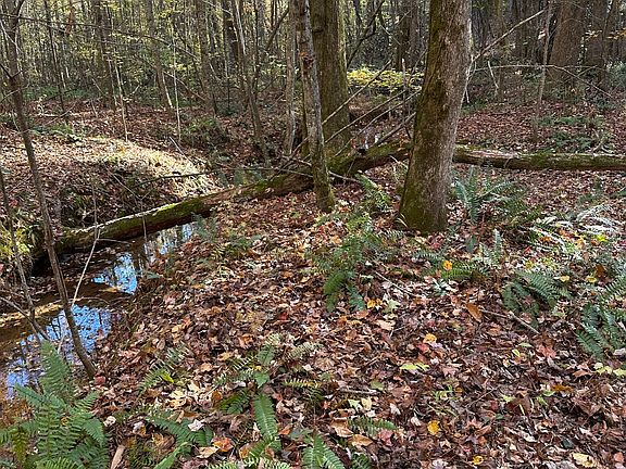 3rd image of 39 Planters Creek Dr