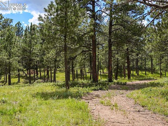 4th image of 325 Pine Oaks Rd