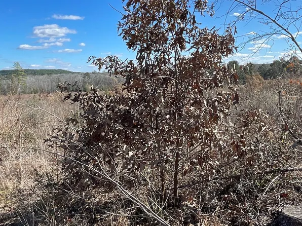 Tbd Cr 1463, Hughes Springs, TX 75656
