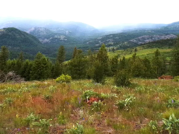 B Vista View Ln, Inchelium, WA 99138