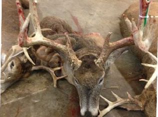 7301 Rattlesnake Rd, Cassville, WI 53806