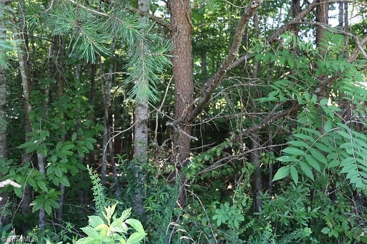 2nd image of Conifer Ct