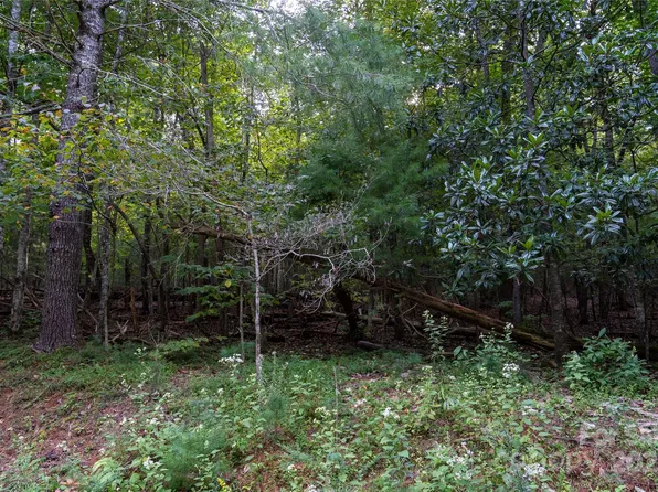 0 Swans Way E #249&250, Lake Lure, NC 28746