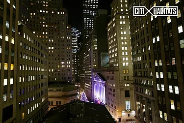 Rented by Citi Habitats
