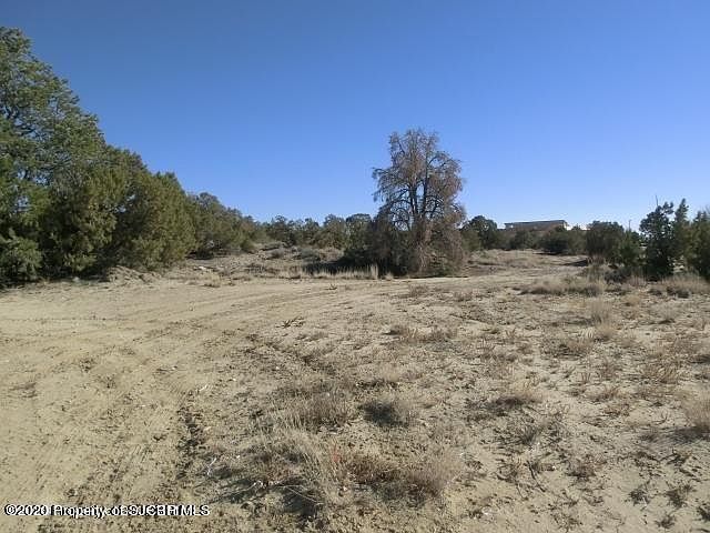 1st image of Saguaro Trl