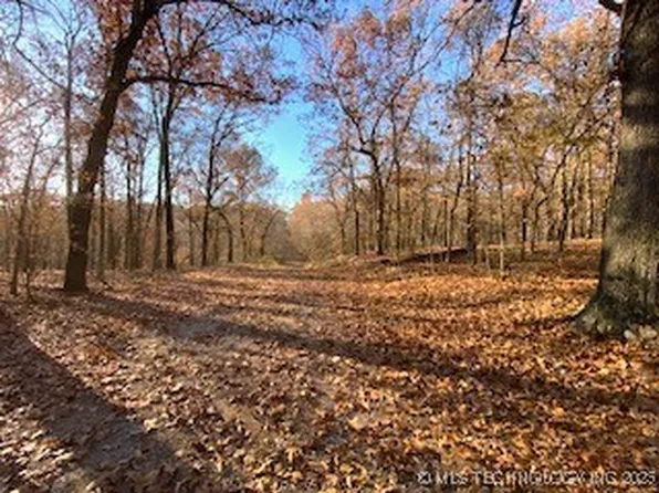 Oakridge Dr, Spavinaw, OK 74366