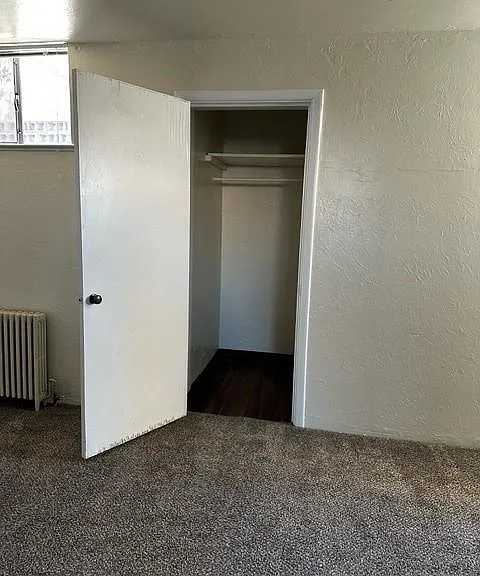 Storage Closet in Living room or Coat Closet