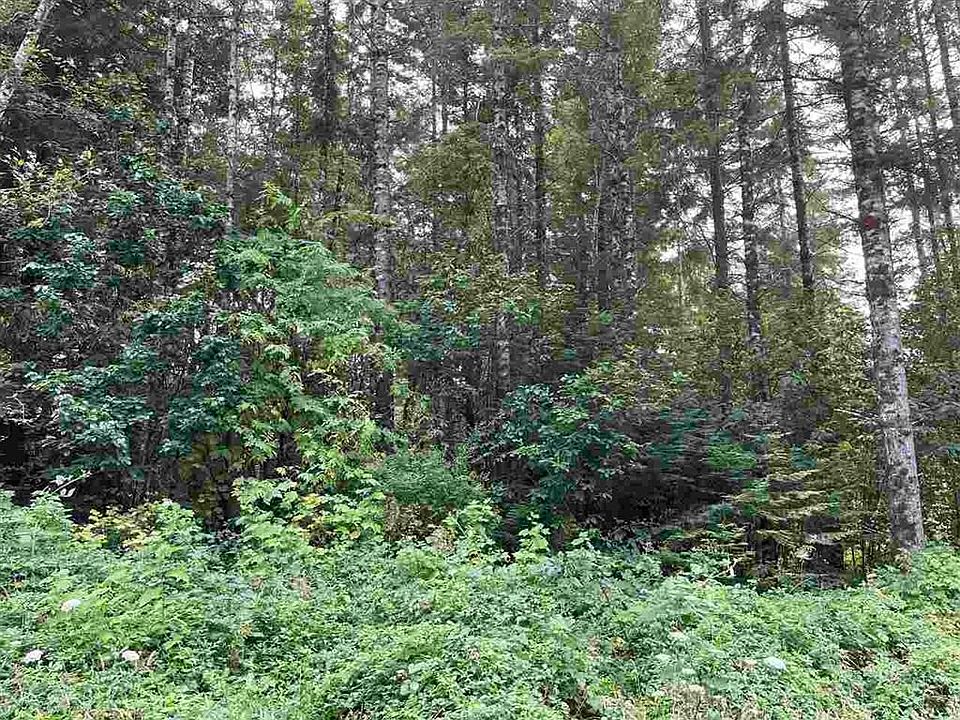 2nd image of LOT 25 Bell Hole Loop