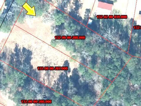 Tbd Lot 3 Rose Avenue, Walterboro, SC 29488