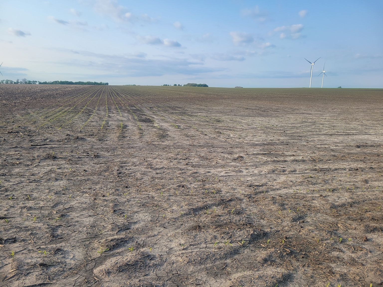 750th St, Hayfield, MN 55940 MLS 11181175 Zillow