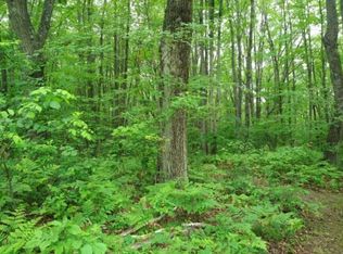 Jones Rd, Beaverton, MI 48612