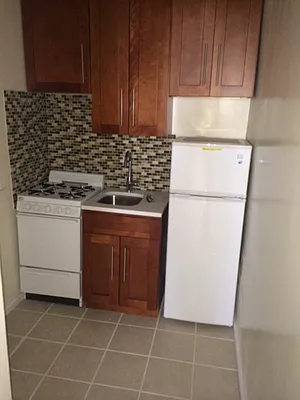 Rented by Eric Goodman Realty Corp | media 26