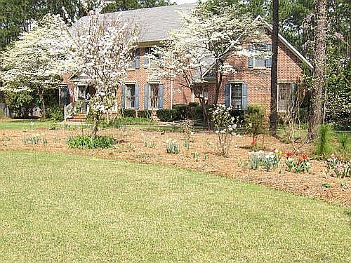 Front Yard (Great Neighborhood)