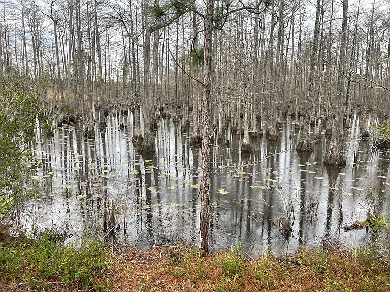 2468A Three Mile Rd — Photo 1