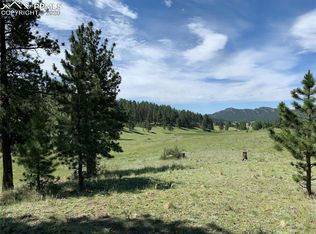 108 High Pasture Rd, Florissant, CO 80816