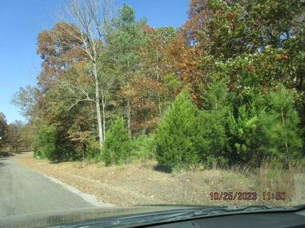 0 Hubert Manul Rd, Michie, TN 38357