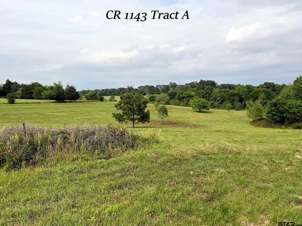 3559 County Road 1143, Tyler, TX 75704