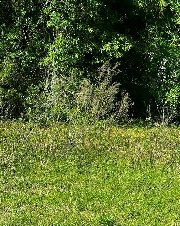 2nd image of 2 SW 24TH PLACE LOT 17