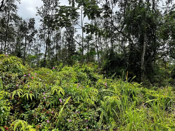 Holiday Rd Lot 580, Pahoa, HI 96778