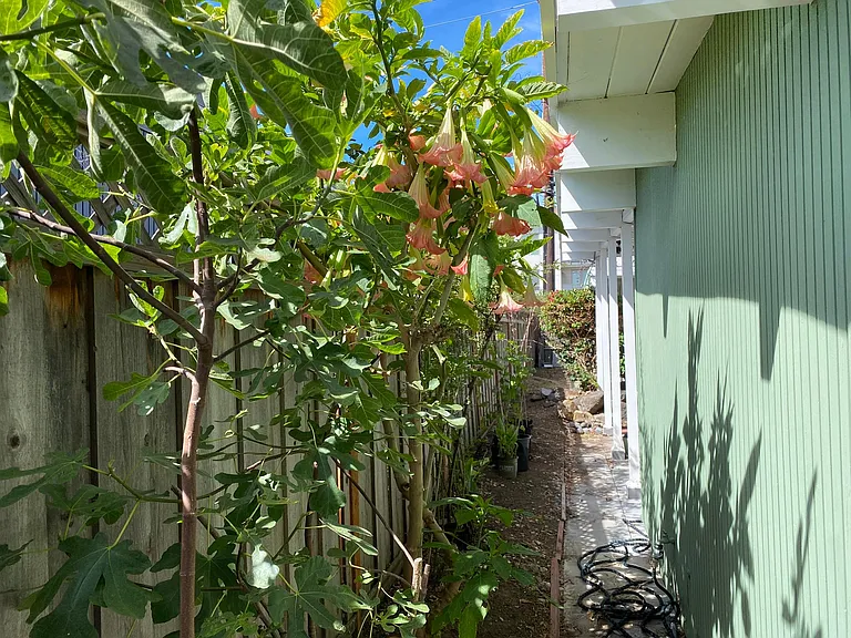 Eleanor Dr — Photo 16