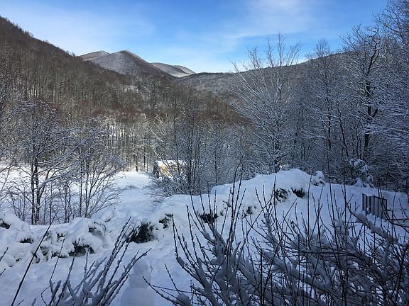 Winter View from Bottom Deck