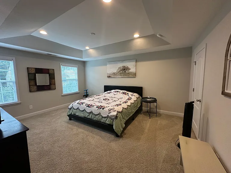 124 Spring Pine Ln — Photo 21