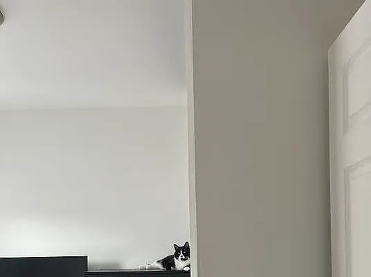 Rented by Living New York | media 18